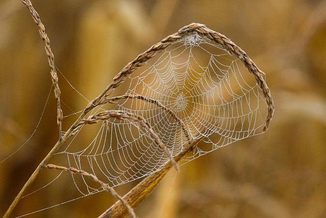 Scalability in Web Development: Practical Guide to Preparing Applications for Growth