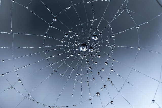 Essential Web Hosting Security: Protect Servers and Keep Data Safe