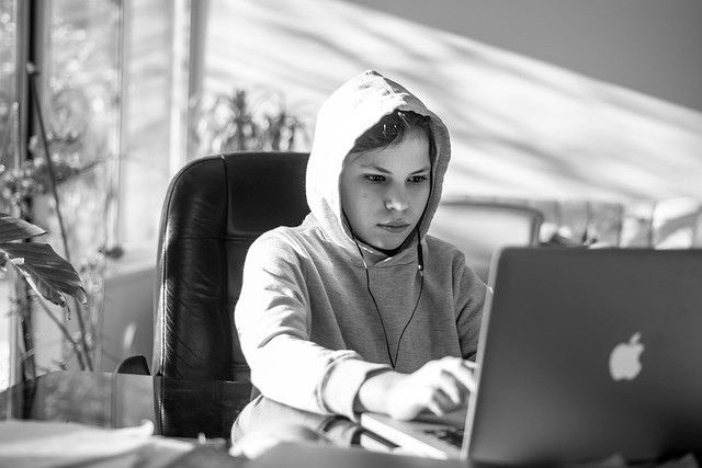 Online Learning Models: A Practical Guide to Digital Education Formats