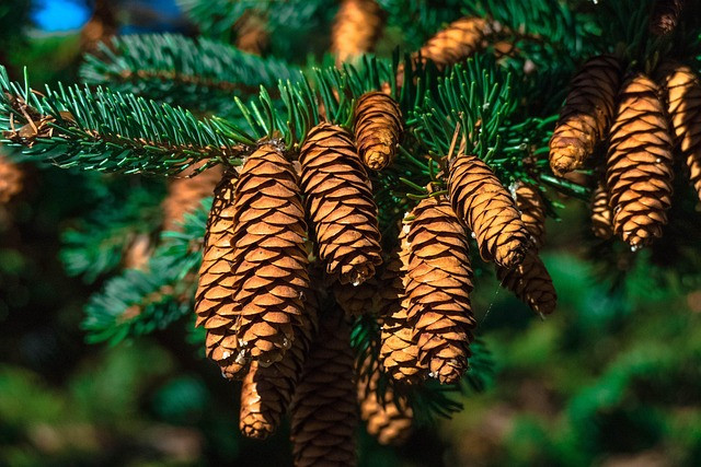 Evergreen vs Seasonal Affiliate Strategy: How to Choose, Plan, and Measure