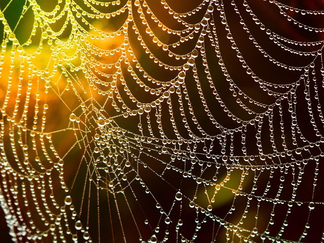 How to Use a Dark Web Monitor for Personal Data Exposure Alerts