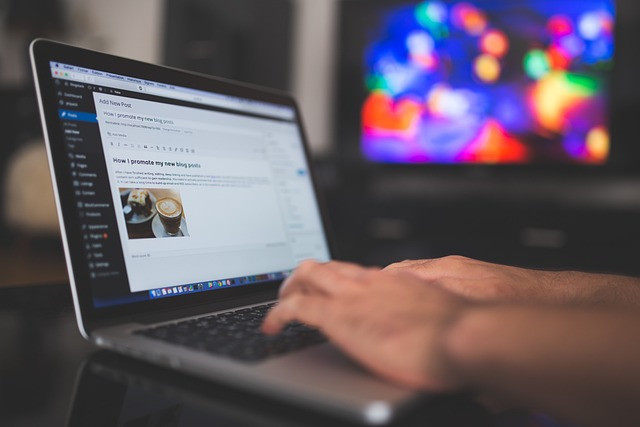 How to Build a Freelance Portfolio That Shows Work and Credibility