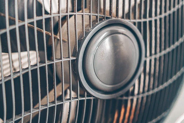 How to Choose a Fan Engagement Tool for Sports Club Community Building