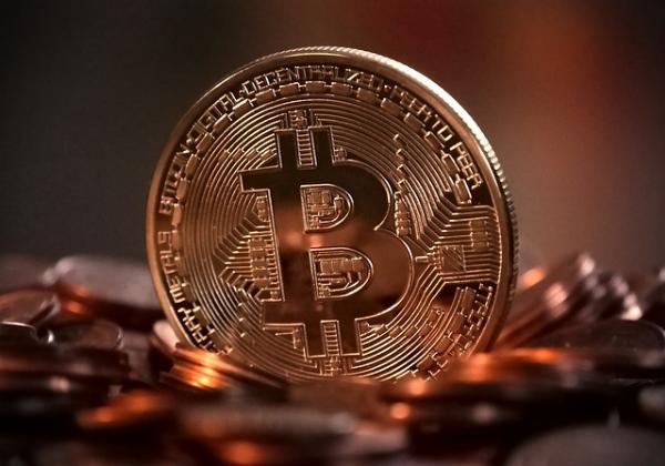 Bitcoin Forks: The Engine of Evolution in the Crypto Space