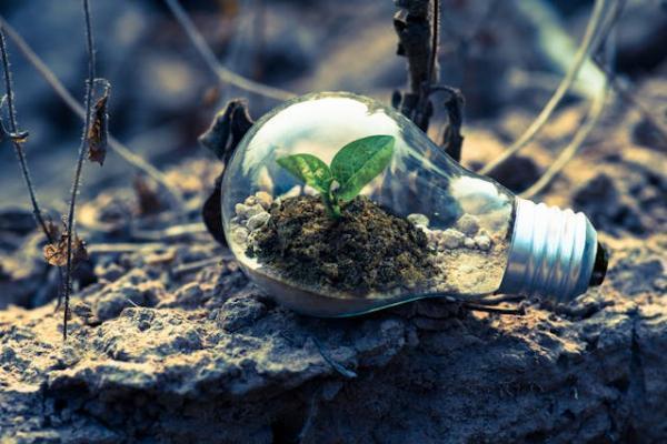 How Tata Power is Meeting the Demand for Green Energy