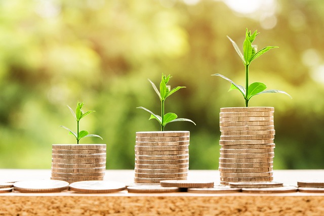 Long-Term Catalysts Behind BLS International's Share Price Climb