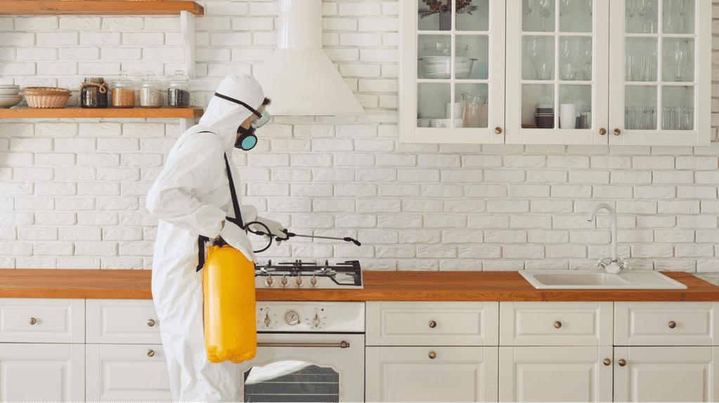 How Can Homeowners Choose the Right Pest Control Solution for Their Property?