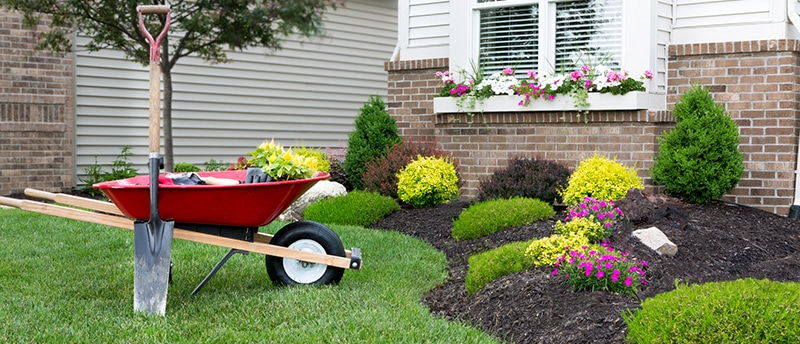 Cultivating Curb Appeal: The Comprehensive World of Residential Landscaping Services