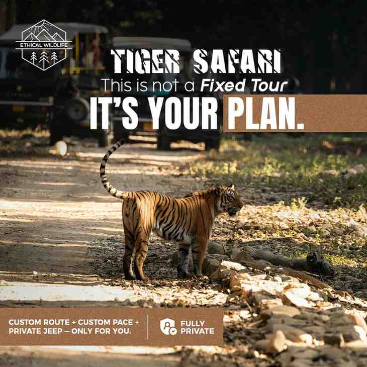Wildlife Tour India: Ethical, Immersive & Responsible Wildlife Experiences