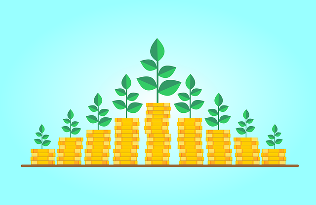 What are Multi Cap Funds and Their Types? 