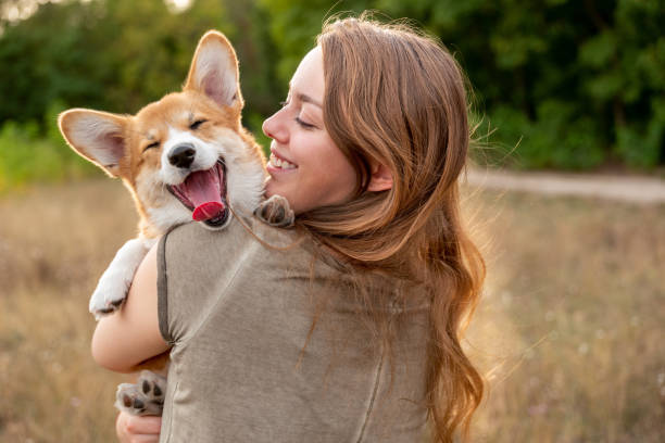 Dog Bed Delights: Making Naptime Extra Special