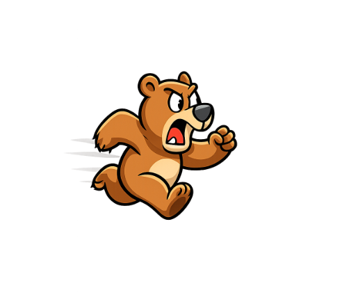 Bear SEO Houston, Texas