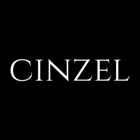 Best SEO Agency in Noida | Cinzel India