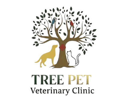Pet Boarding in Sharjah: A Complete Guide to Safe and Comfortable Pet Care