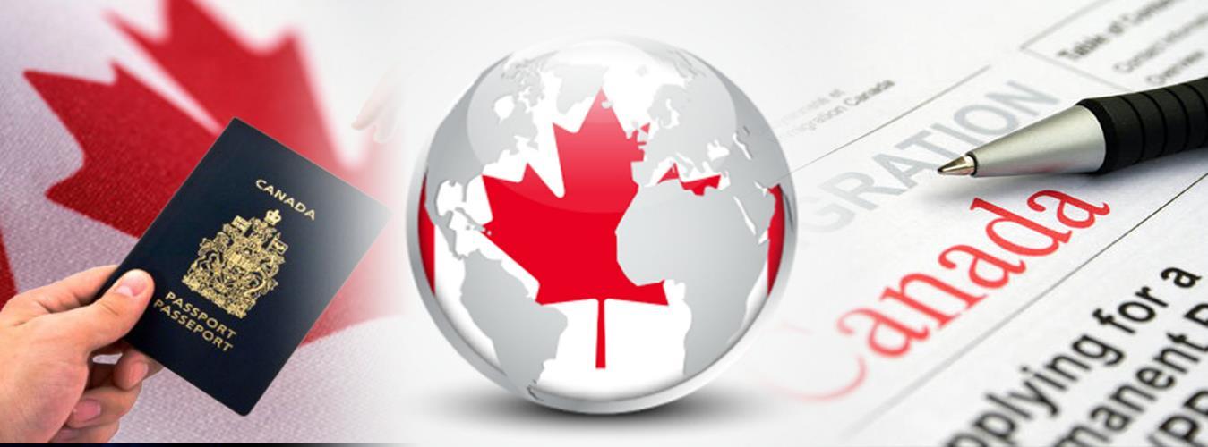 The Complete Guide to Finding the Right Visa Consultant in Canada
