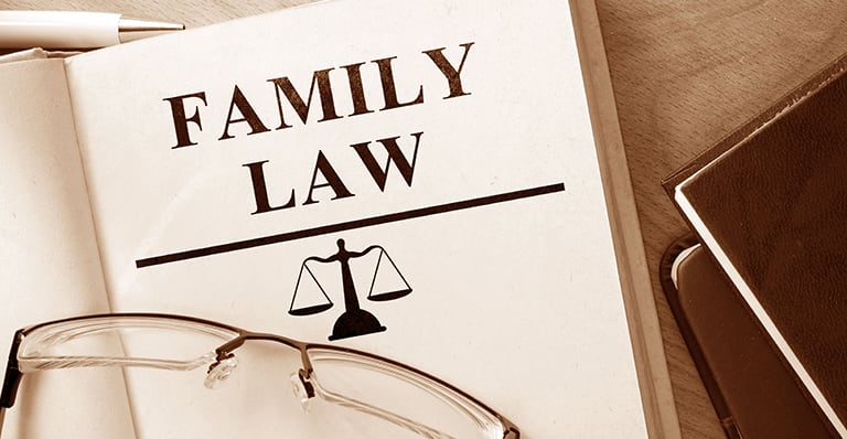 What to Look for in a Family Lawyer in Glen Iris
