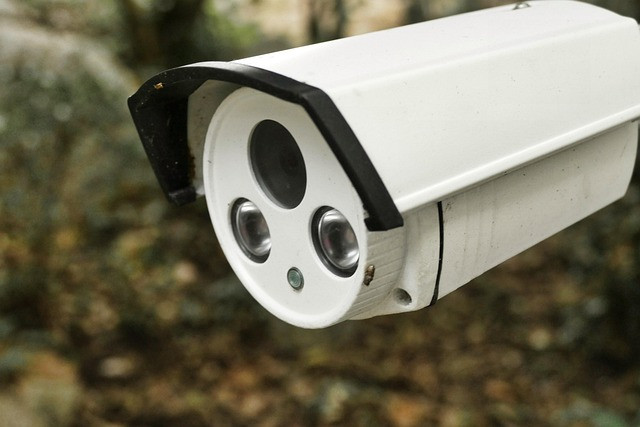 How to Protect Data in Transit: Practical Network Security Basics