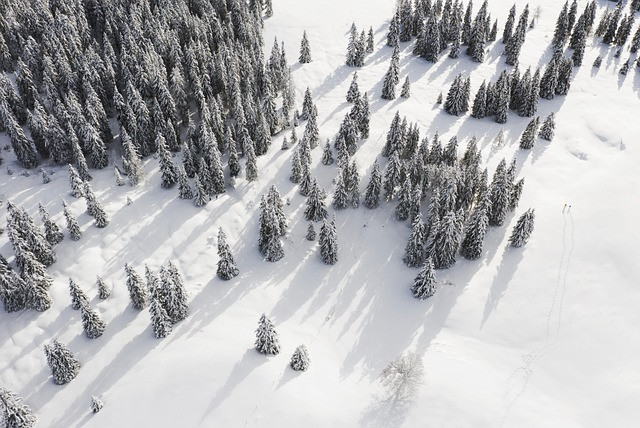 Europe Winter Packing List: Essential Items, Layering System, and Travel Checklist