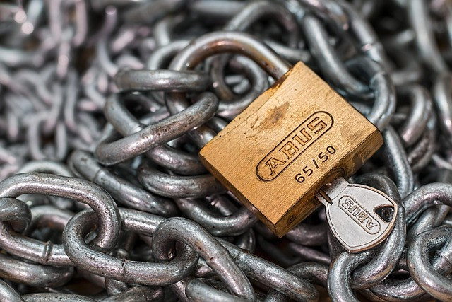 Organizational Security Frameworks: A Practical Guide for Businesses
