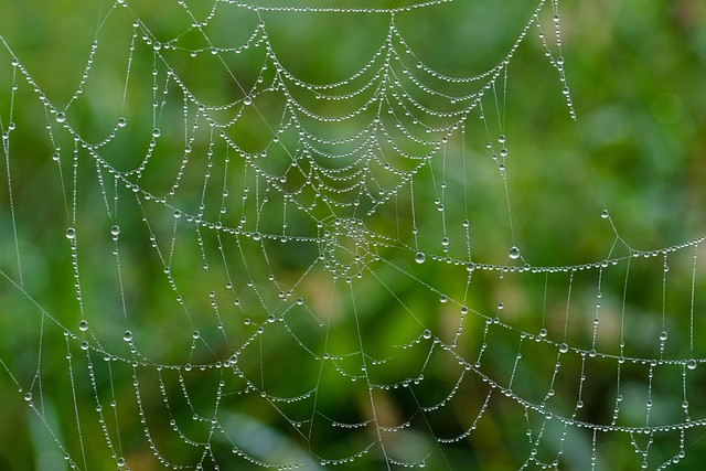 Web Hosting Infrastructure Explained: Servers, Data Centers & Network Essentials