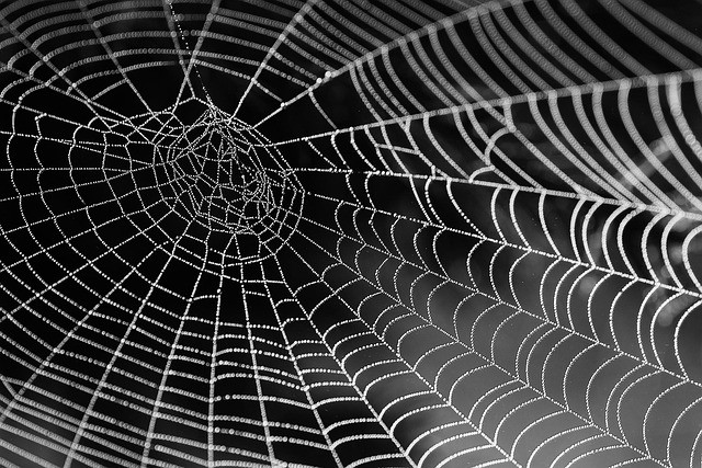 10 Proven Web Design Strategies That Improve User Experience