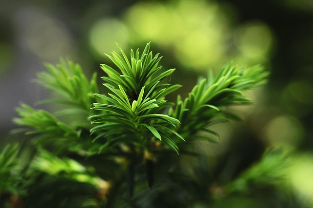 How to Create Evergreen Content That Ranks: A Practical REAP Framework