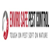 Possum Removal Melbourne
