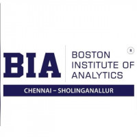 boston institute
