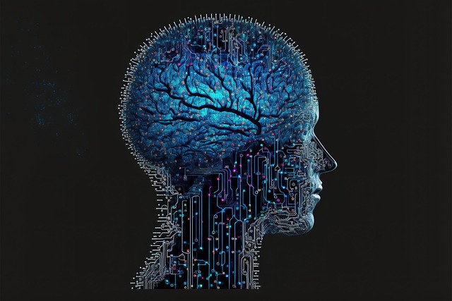 Web3 Platforms