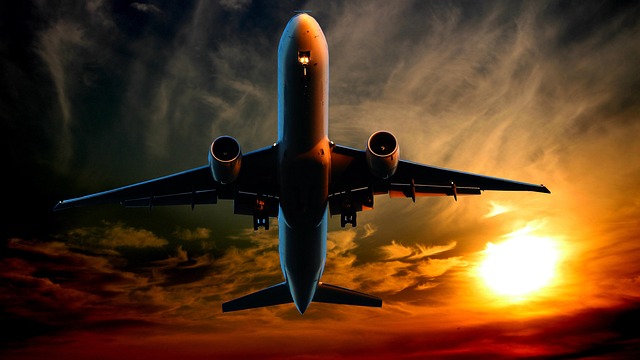 Travel Logistics